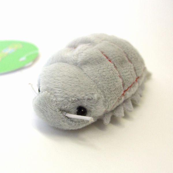 Bean bag Giant isopod