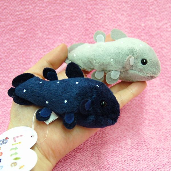 Little Beans Coelacanth