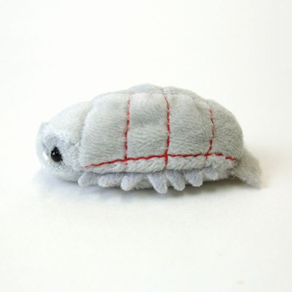 Bean bag Giant isopod