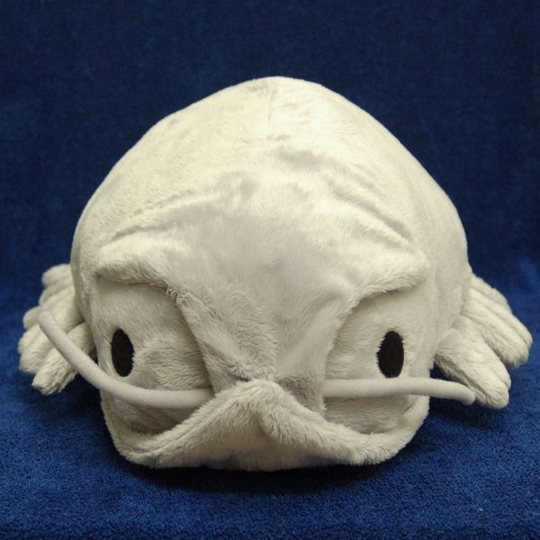 Giant isopod Cushion Plush